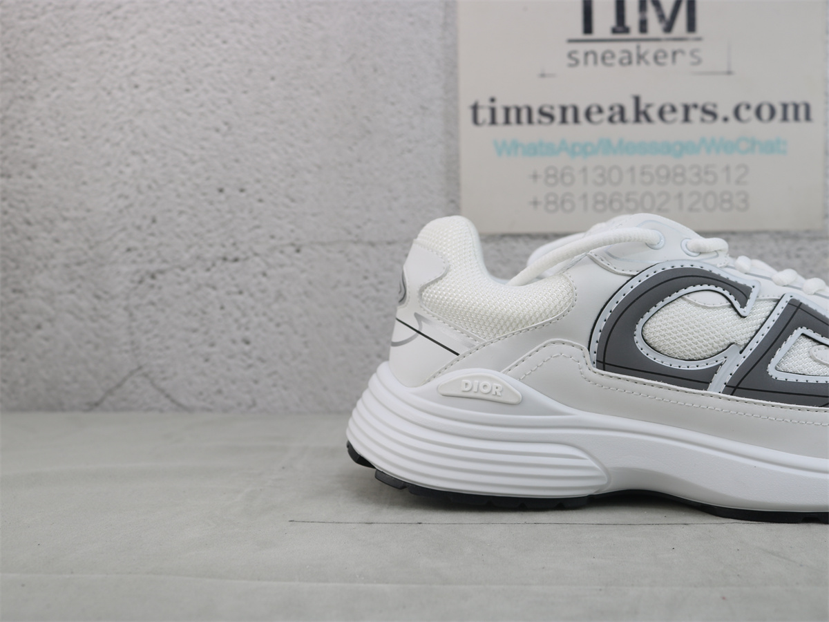 Dior B30 SNEAKER White Mesh and Technical Fabric